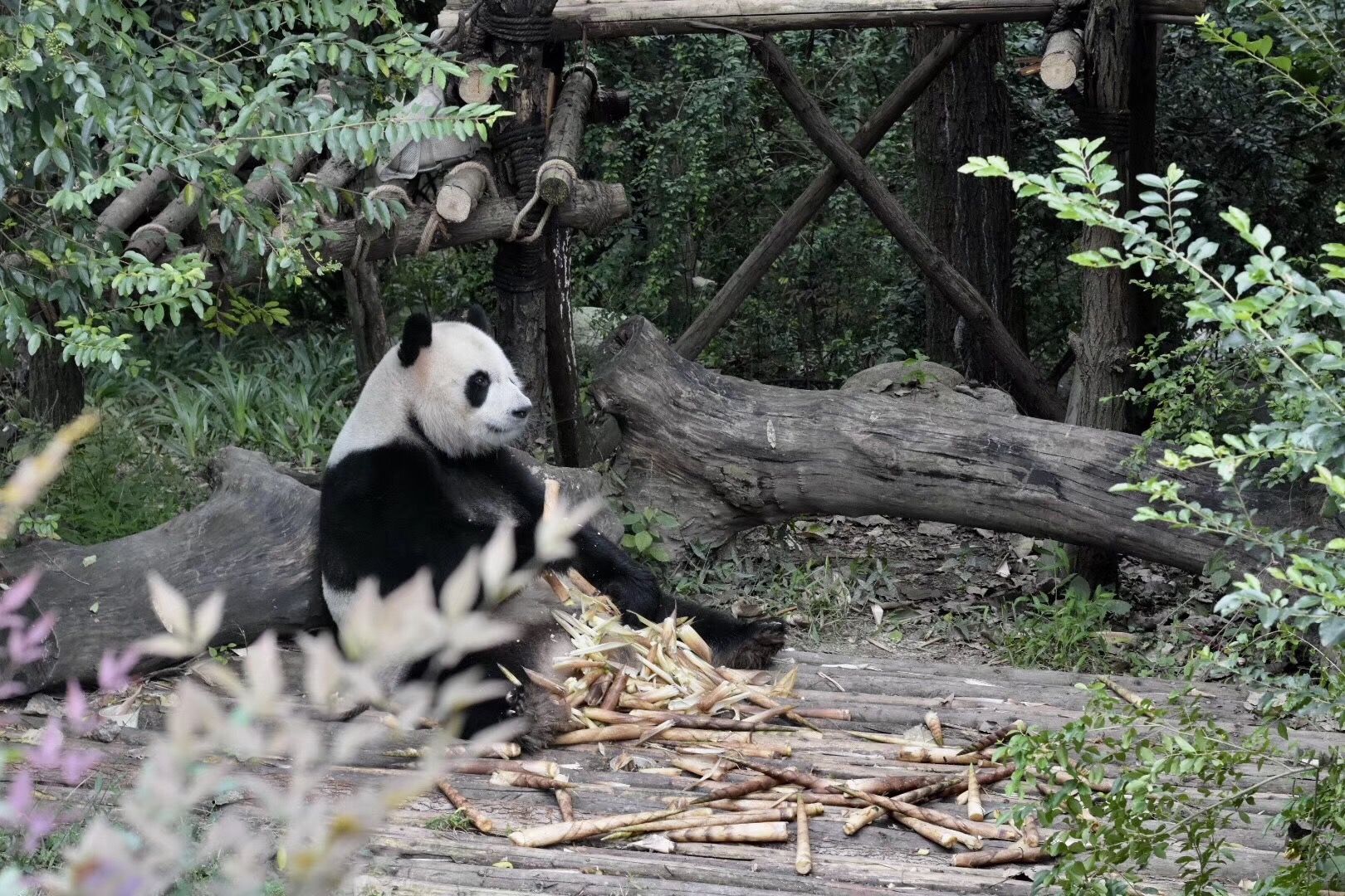 1540952859294122.jpg 微信圖片_20181018172318.jpg